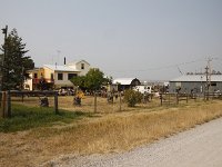 MG 0474  Private Kunstausstellung Hillside Road