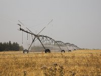 MG 0494  Bewässerungsanlage