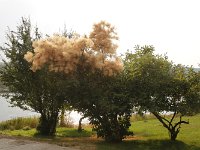 MG 0512  Thompson Falls