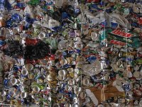 MG 2096  Dosen sammeln