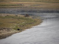 yellowstone-Alum-Creek-07  Alum Creek ... und nach dem Essen sollst Du ruhen!