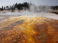 yellowstone-WEST-THUMB-GEYSER-BASIN-03  West Thumb Geysir Bassin