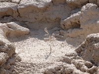 yellowstone-artists-paintpot-05  Artists Paintpot