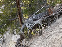 yellowstone-canyon-falls-07  Canyon Falls