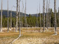 yellowstone-fountain-paint-pot-01  Fountain Paint Pots