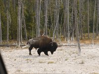 yellowstone-fountain-paint-pot-12  Fountain Paint Pots