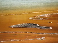 yellowstone-grand-prismatic-spring-06  Grand prismatic