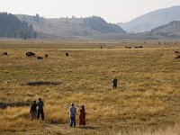 yellowstone-lamar-valley-02  Lamar Valley