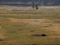 yellowstone-lamar-valley-04  Lamar Valley