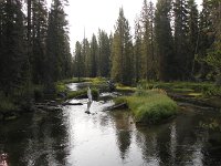 yellowstone-lone-star-geysir-01  Lone Star Geysir