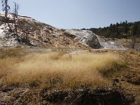 yellowstone-mammoth-hot-spring-02  Mammoth Hot Spring Gras