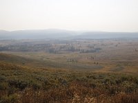 yellowstone-mount-washbourn  Mount Washburn Ebene