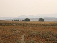 yellowstone-pelican-creek-valley-03  Pelican Creek Valley