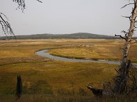 yellowstone-pelican-creek-valley-13  Pelican Creek Valley