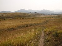 yellowstone-pelican-creek-valley-16  Pelican Creek Valley