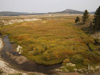 yellowstone-pelican-creek-valley-17  Pelican Creek Valley