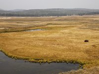 yellowstone-pelican-creek-valley-19  Pelican Creek Valley