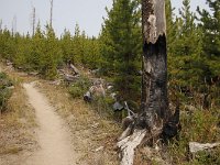 yellowstone-pelican-creek-valley-22  Pelican Creek Valley