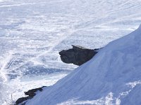 MG 3870  Kap Choboi | der Hund