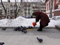 MG 2641  Taubenfütterung an der Kreuzerhöhungskirche