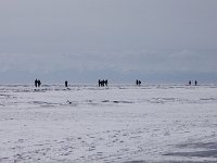 MG 5816  Zwischen Bolshoe Koty und Listvianka wandern viele Menschen
