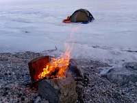mg 5526b  Die Kieferzapfen sind trocken und sehr hartzig. Somit leicht entzündlich. Eine kleine schöne Ablenkung.