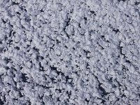 MG 5192  Sehr feste Schneereste auf dem Eis.