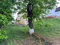 Kirchenburg Trappold (Apold)