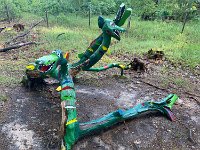 Novohradecke Lesy (Hradec Kralove)