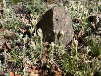Chris Lake Trail (UTah)