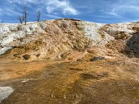 Mammoth Hot Springs